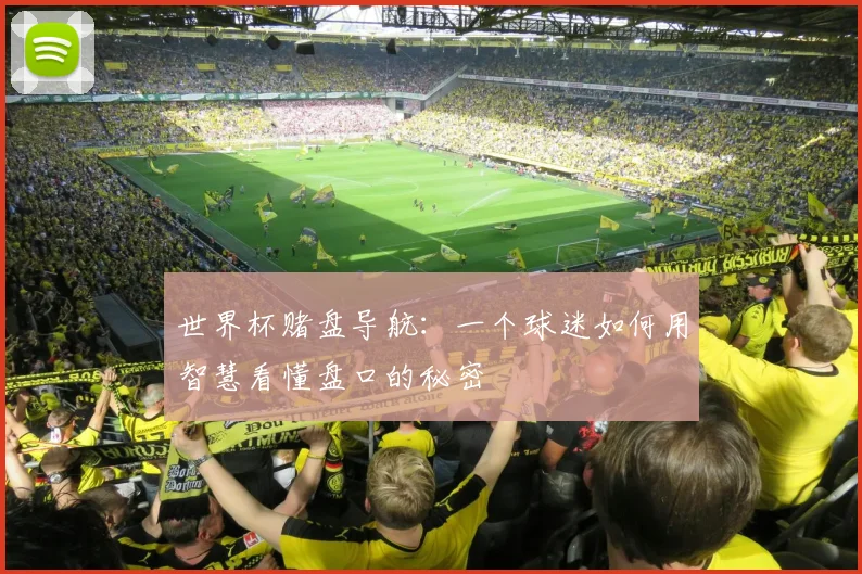 世界杯赌盘导航:一个球迷如何用智慧看懂盘口的秘密