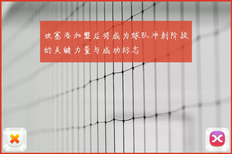 坎塞洛加盟后将成为球队冲刺阶段的关键力量与成功标志