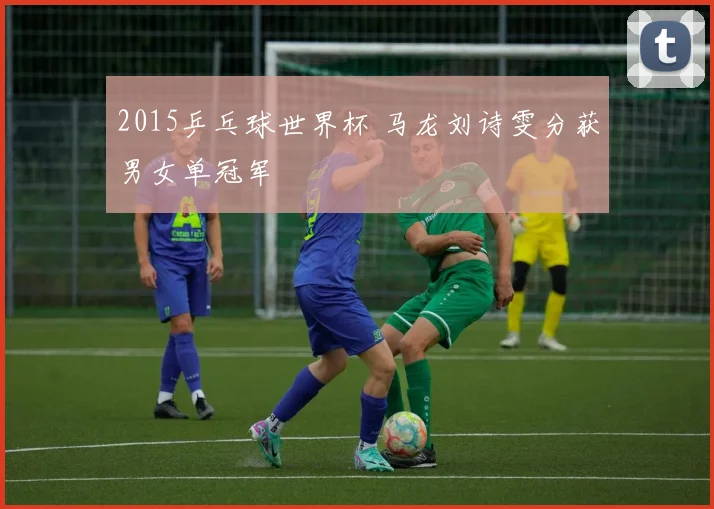 2015乒乓球世界杯 马龙刘诗雯分获男女单冠军