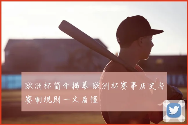 欧洲杯简介揭幕 欧洲杯赛事历史与赛制规则一文看懂