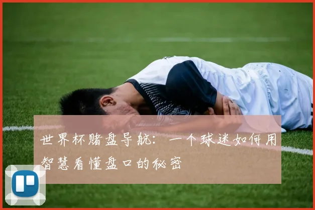 世界杯赌盘导航：一个球迷如何用智慧看懂盘口的秘密