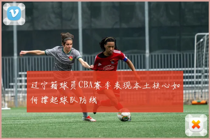 辽宁籍球员CBA赛季表现本土核心如何撑起球队防线