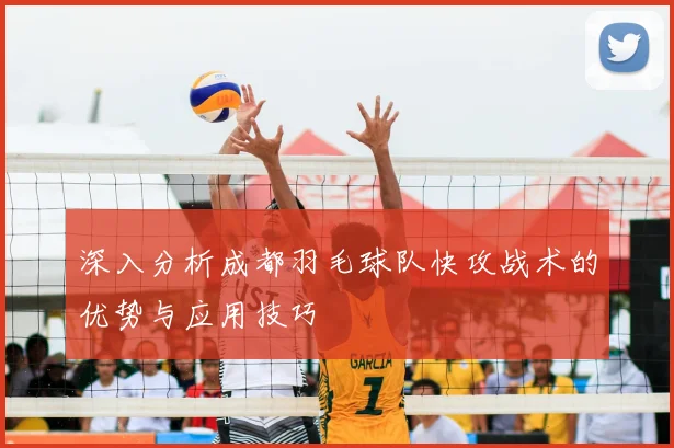 深入分析成都羽毛球队快攻战术的优势与应用技巧