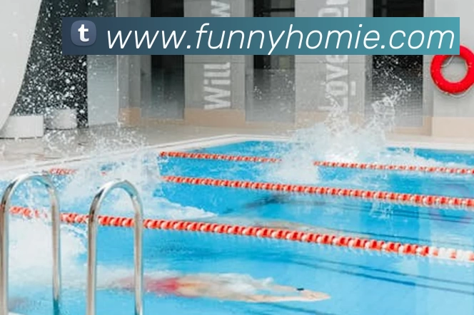 kaiyun平台生态图